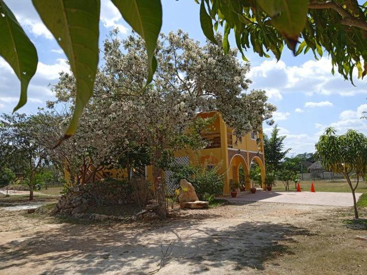Ecohotel Shalom Valladolid  Buitenkant foto